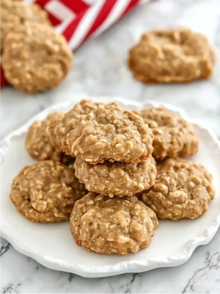 Peanut Butter No-Bake Cookies (2)